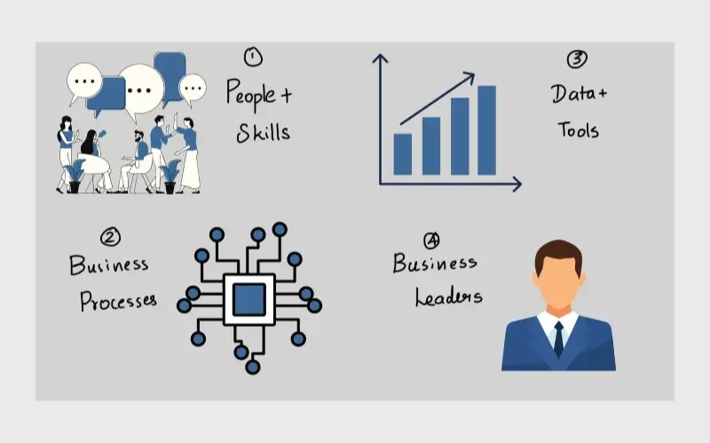What are the roles of the business intelligence team