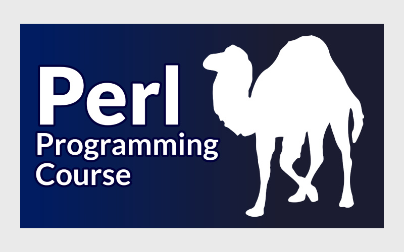 9. زبان برنامه‌‌نویسی پرل (Perl)؛ یکی از قدیمی‌ترین زبان‌های برنامه‌نویسی پردرآمد