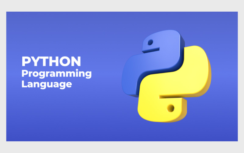 5. زبان برنامه‌نویسی پایتون (Python)؛ از زبان‌های برنامه‌نویسی پردرآمد 