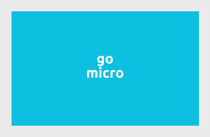 go micro