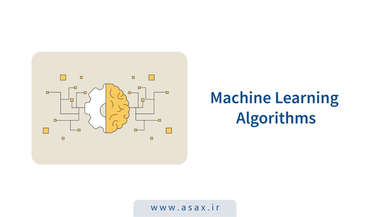 انواع الگوریتم‌های یادگیری ماشین در سال ۲۰۲۵