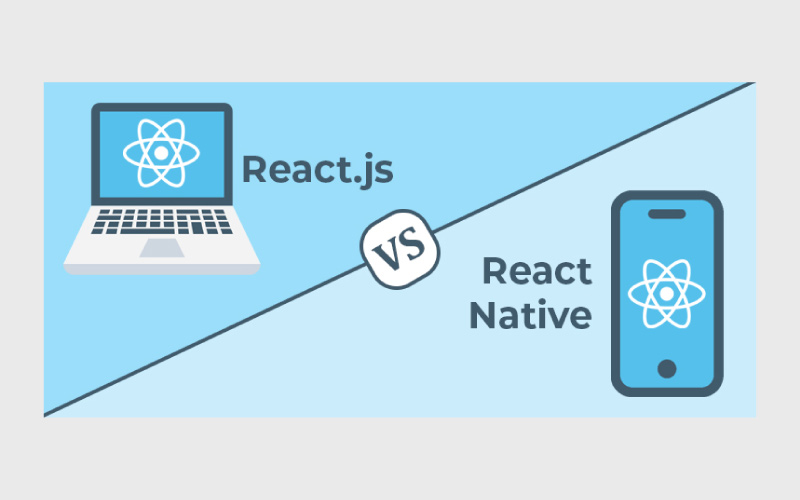 React Native vs ReactJS How Do They Work