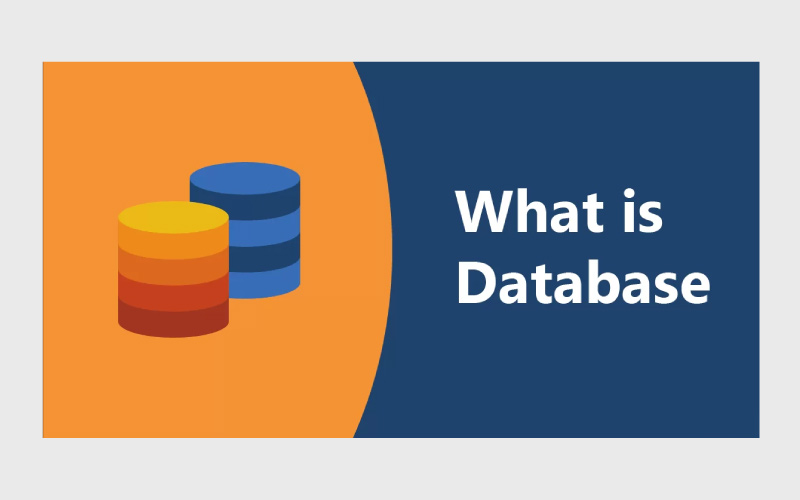 What-Is-Database