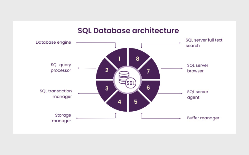 استفاده از SQL در پایگاه داده