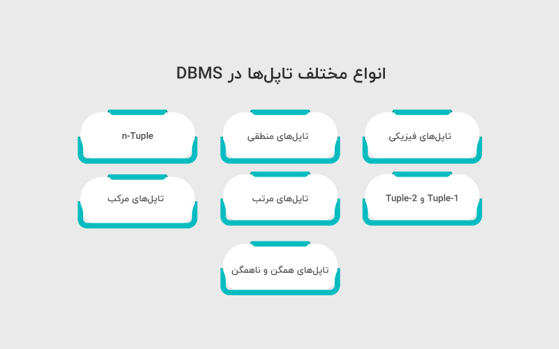 انواع مختلف تاپل‌ها در DBMS