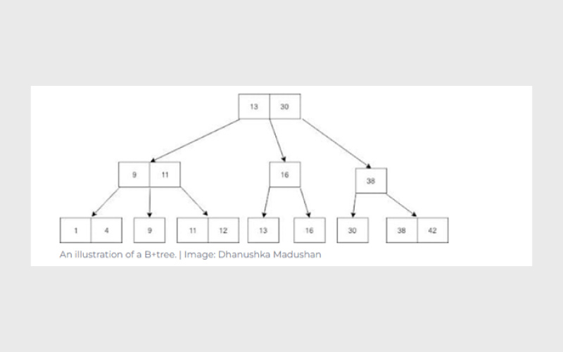 B+ Tree
