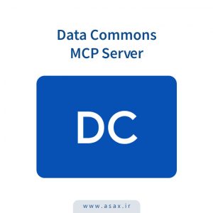 Data Commons MCP Server