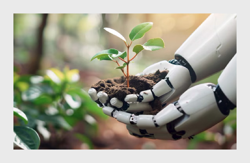 پایش محیط زیست