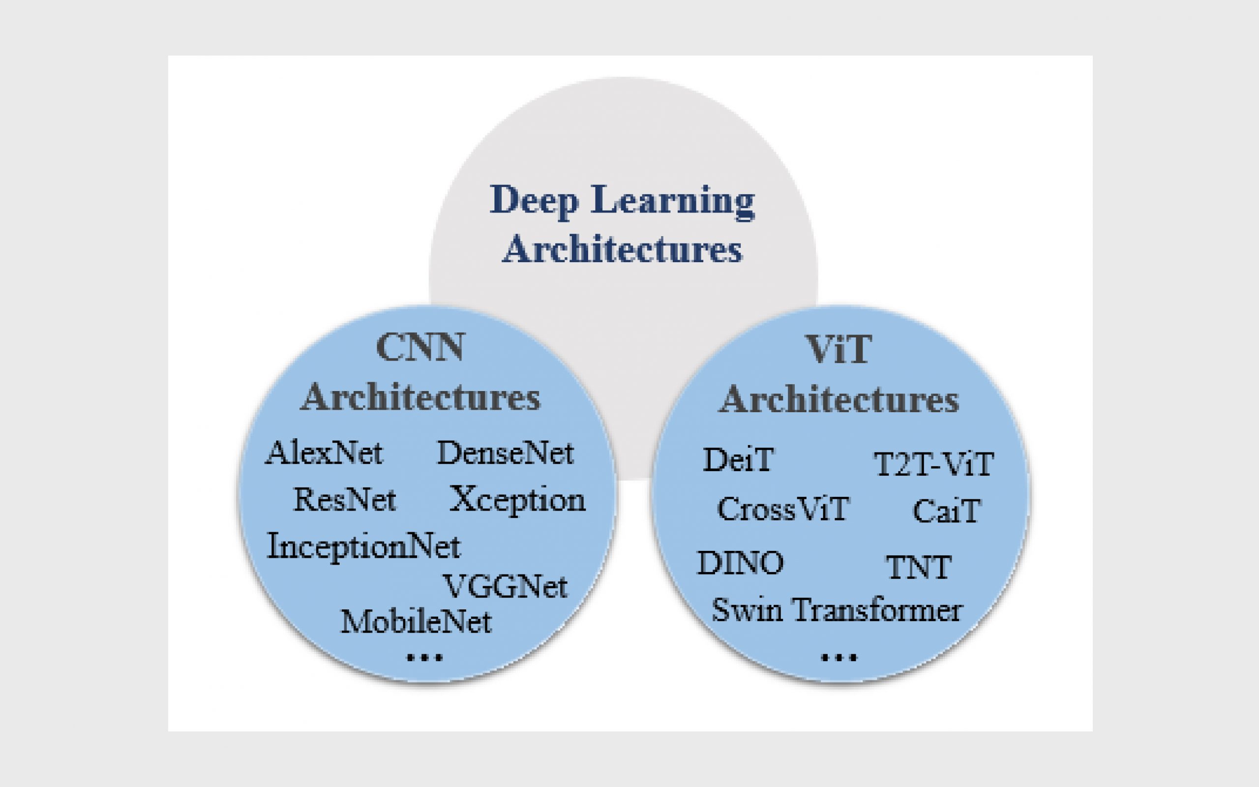 CNN vs ViT