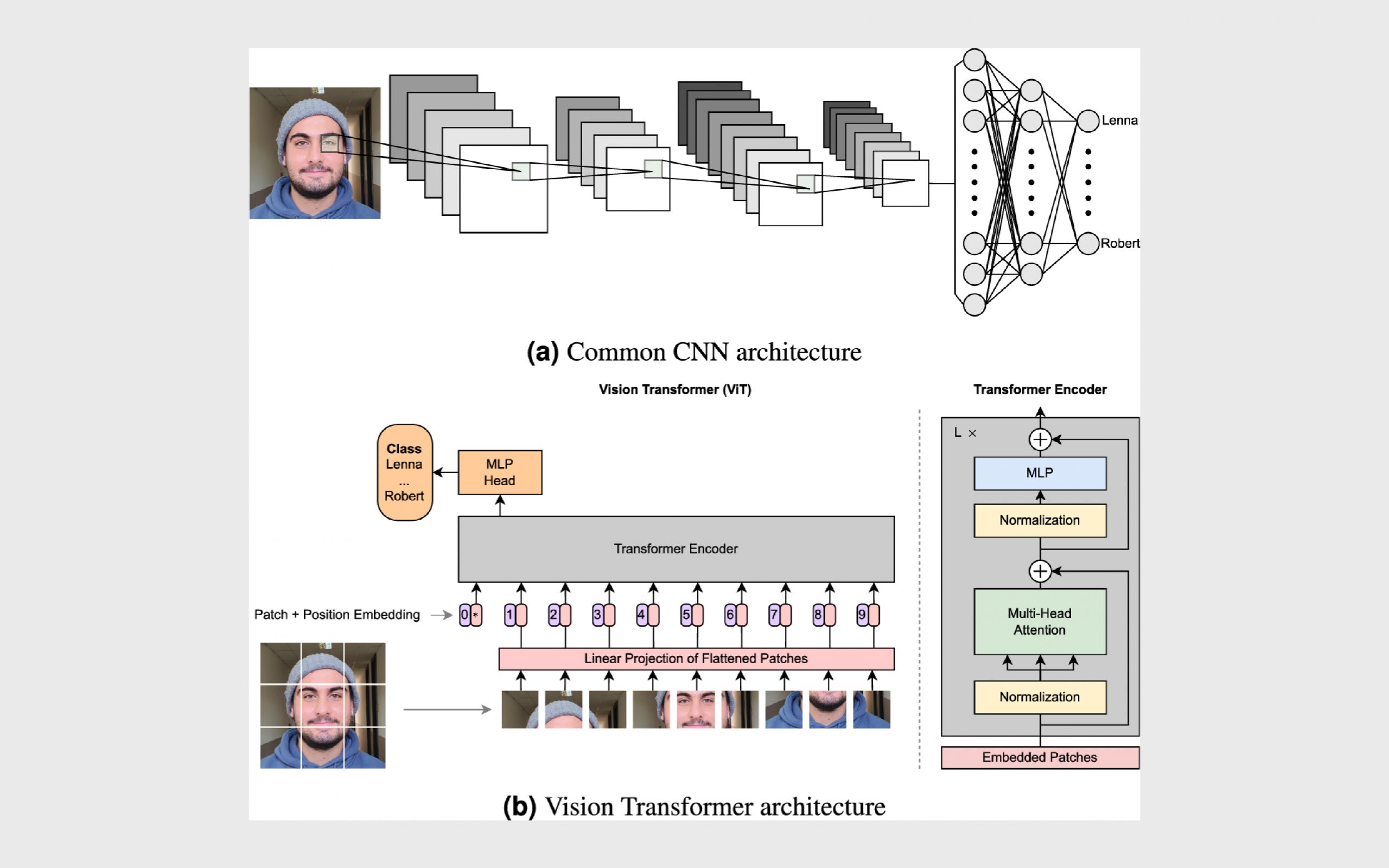 CNN vs ViT