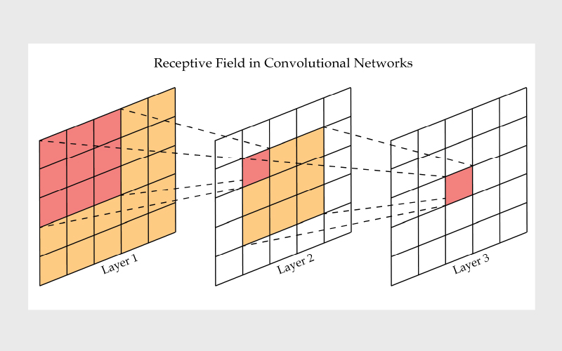 Receptive Field